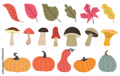 Set collection of autumn colorful elements leaves, pumpkins and mushrooms icon clipart isolated illustration