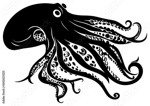 Squid seafood animals silhouette