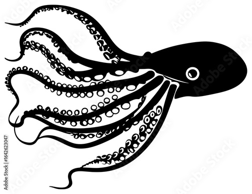Squid seafood animals silhouette