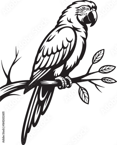 Parrot Outline Icon with Detailed Feathers Perched Bird Line Art