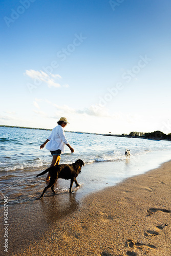 Woman walks along the beach with her dog