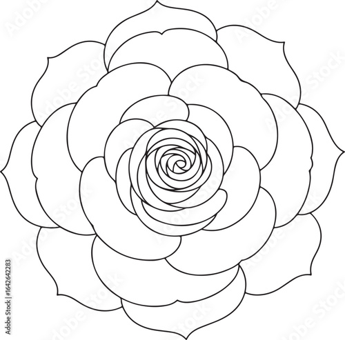 Top View Rose Mandala Style Petal Layers Black and White Floral Line Drawing