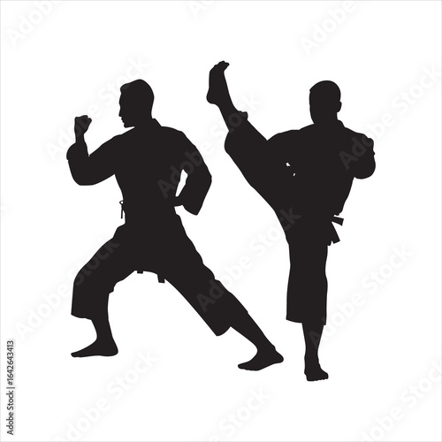 Silhouette of martial art. Kungfu, karate, taekwondo