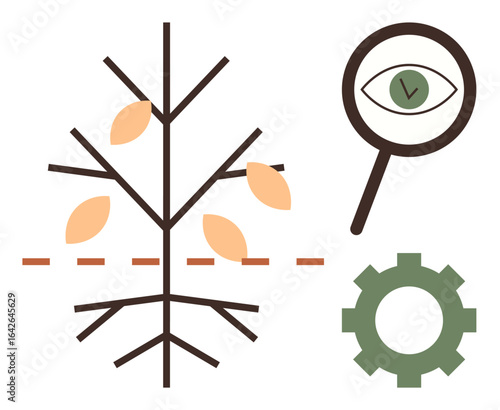Minimalist tree with dividing line, falling leaves, magnifier with eye, and gear. Ideal for growth, development, analysis, sustainability efficiency strategy innovation. Simple flat metaphor