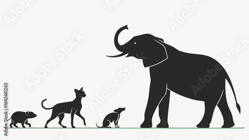 Vector silhouette illustration of a mouse, cat, small dog, and elephant lined up from smallest to largest size