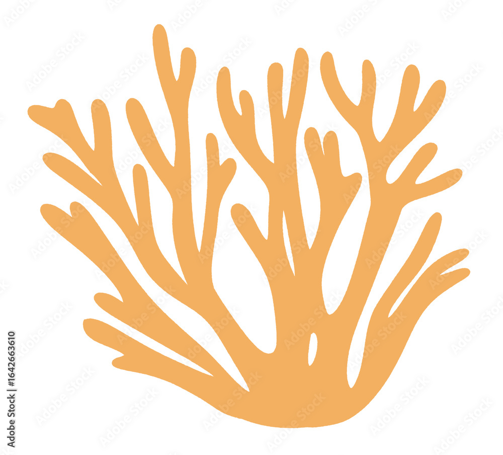 Obraz premium Minimal Coral