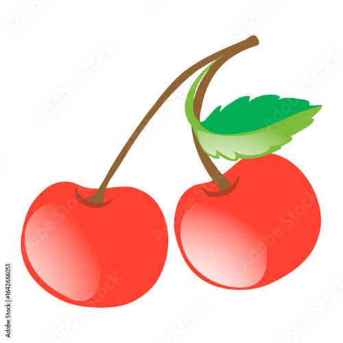 vector illustration of cherry