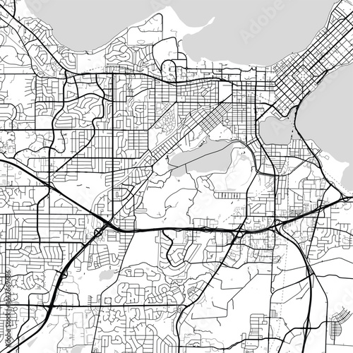 Madison City Map Art Print Sleek Linework Wall Decor Featuring Refined Monochrome Urban Grids in White and Black Minimalist Style for Modern Spaces                                 