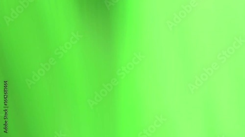 Green light leaks Transition film burn