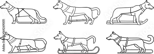 Set of Dog sled black outline vector and illustration, coloring book page
