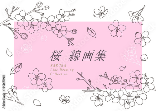 3月〜4月　桜　線画　フレーム風　セット