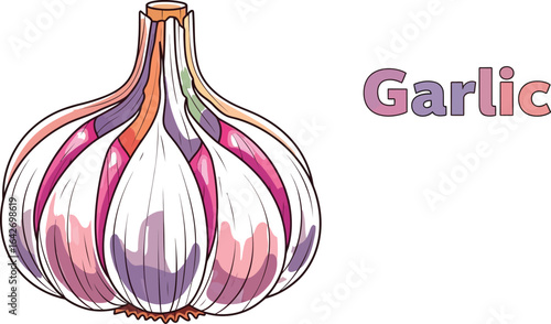 Illustration of a garlic bulb with its cloves, a common ingredient in various cuisines, known for its pungent flavor and health benefits