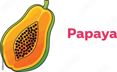 Illustration of a papaya fruit, a tropical delight known for its sweet taste, vibrant color, and nutritional benefits, often enjoyed fresh or in desserts