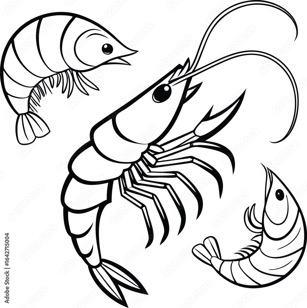 Fototapeta premium Detailed Black and White Shrimp Illustration Featuring Three Prawns in Varying Poses Displaying Anatomy and Crustacean Design