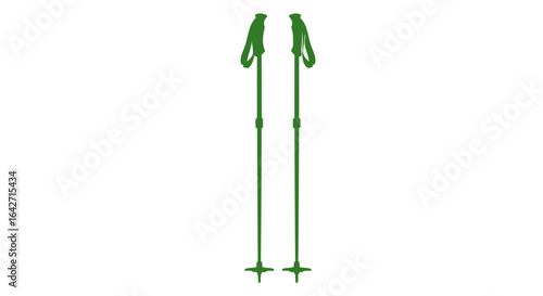 nordic walking poles essential gear for fitness and outdoor adventures