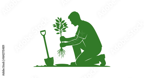 planting new growth gardener carefully planting sapling