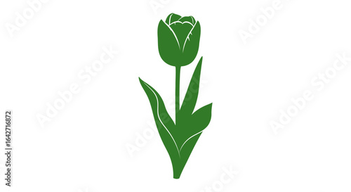simple green tulip illustration perfect for ecofriendly designs