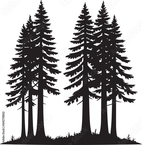 Silhouette illustration of majestic redwood trees in a forest black color silhouette on white background