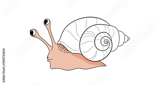 Whimsical snail with human face and spiral shell illustration