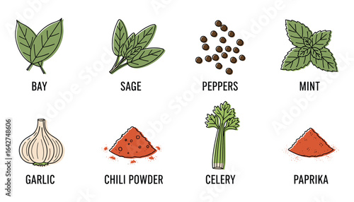Culinary Herbs and Spices: Bay Leaves, Sage, Peppercorns, Mint, Garlic, and Powders