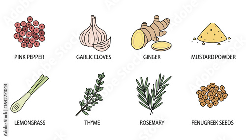 Culinary Spices and Herbs: Assortment of aromatic ingredients for cooking dishes