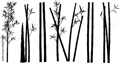 bambus silhouettes volume 1

