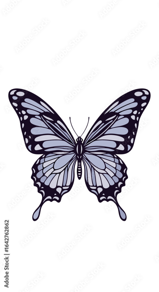 Obraz premium Delicate blue and purple butterfly with ornate wings and intricate patterns on a plain background