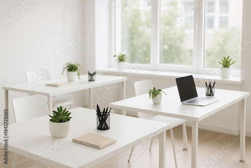 Bright and airy home office with natural light and plants