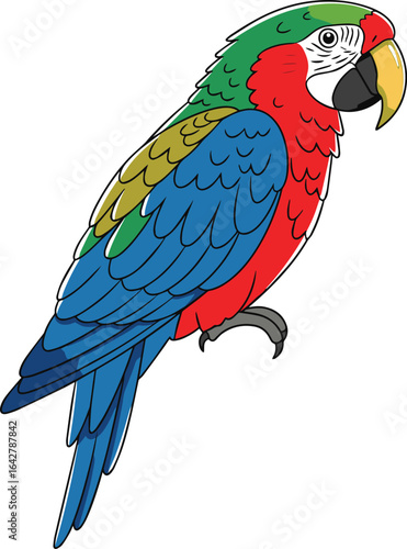 red and yellow macaw ara ararauna | Colorful Macaw Parrot