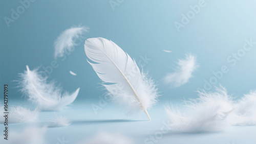 White feathers around down floating dreamy background
