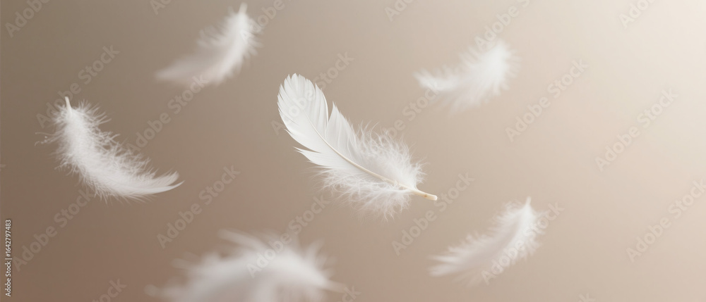 Obraz premium White feathers around down floating dreamy background