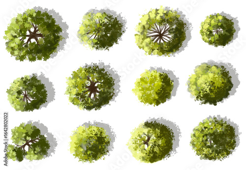 Vector watercolor green tree or forest top view isolated on white background for landscape plan and architecture drawing,plant for environment or garden,botanical element for exterior layout