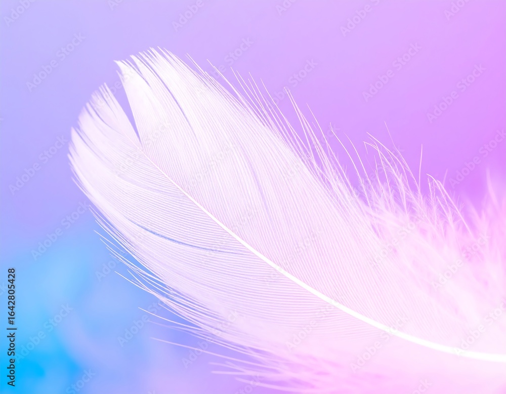 Obraz premium Delicate feather, soft pastel colors