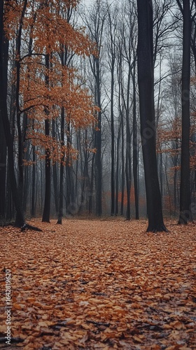 Autumnal forest path, fallen leaves, dark trees, misty atmosphere