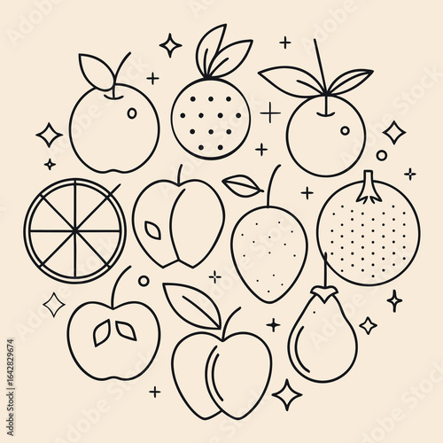Simple line art fruits collection apples pears oranges peaches citrus vector