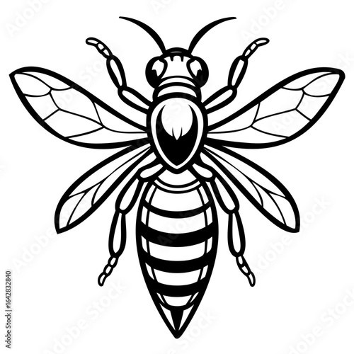 Bee illustration isolated on white background