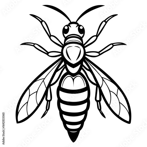 Black and white illustration of a wasp isolated on white background