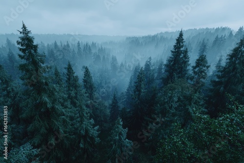 Wallpaper Mural Misty forest vista, dense trees shrouded in pale blue-gray mist Torontodigital.ca