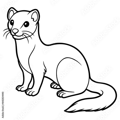 Weasel isolated on white background