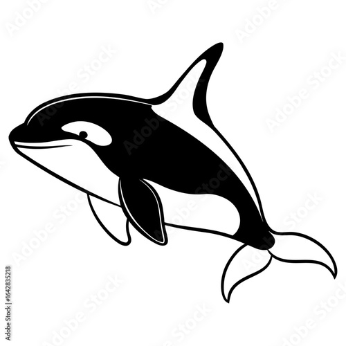 Illustration of a killer whale orca swimming, isolated on white background