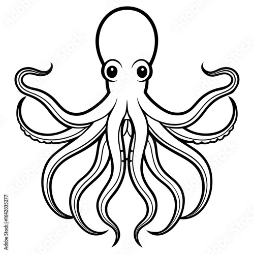 Octopus isolated on white background
