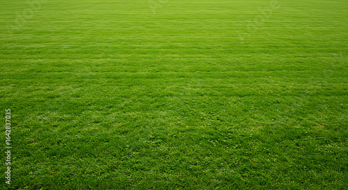 Fototapeta Naklejka Na Ścianę i Meble -  Lush green lawn texture with fresh grass blades in a vibrant summer meadow