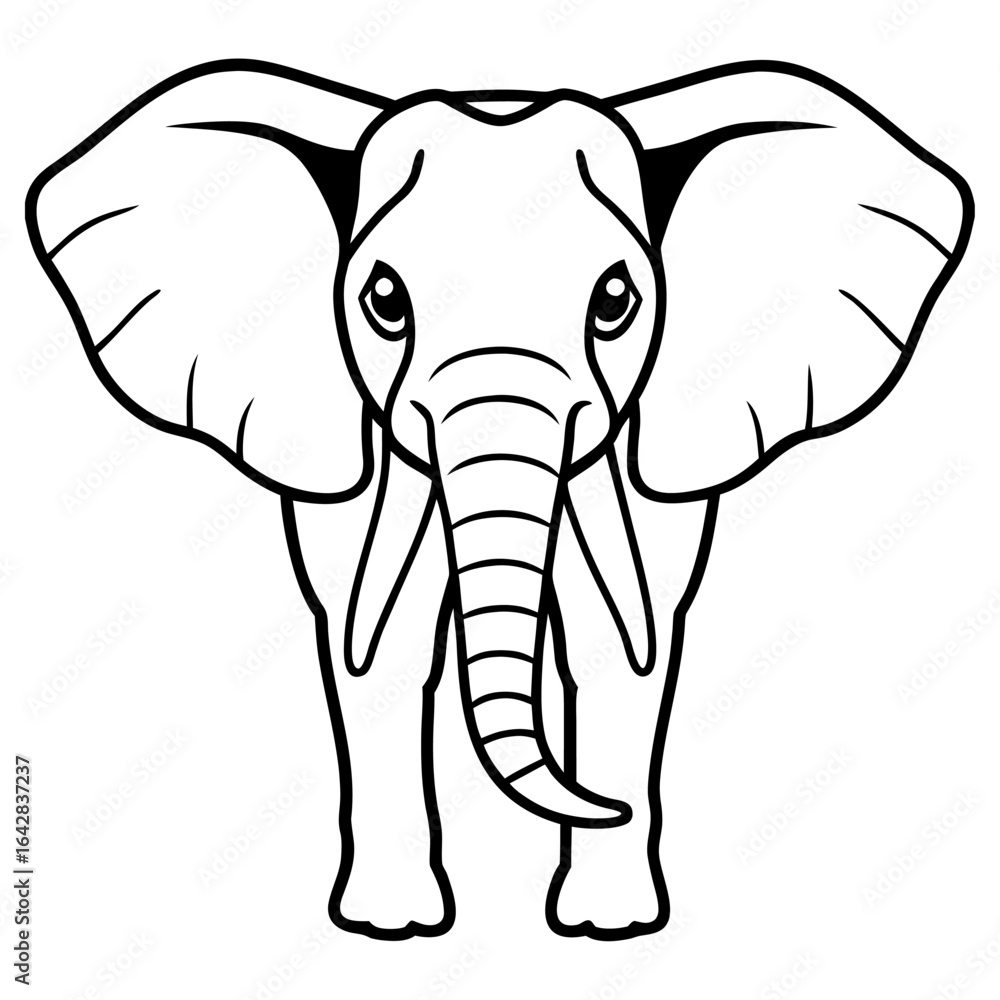 Fototapeta premium African elephant facing forward, isolated on white background