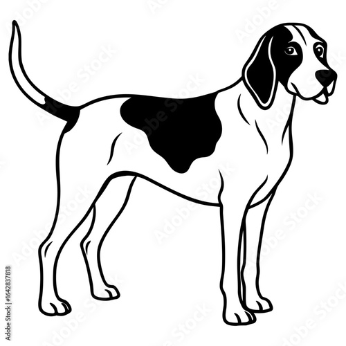 Black and white illustration of a hound dog standing, isolated on white background