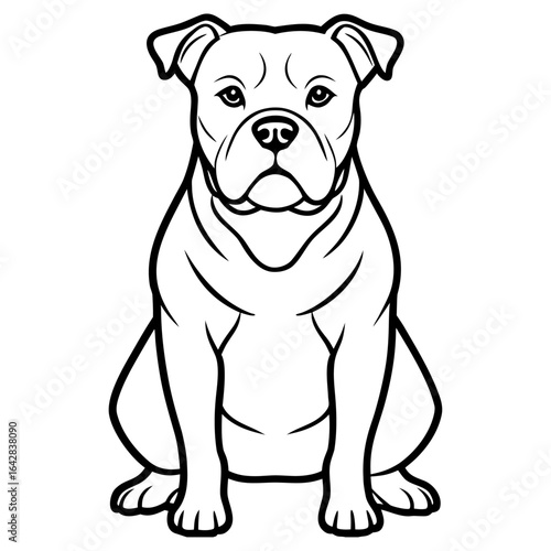 Sitting staffordshire bull terrier dog isolated on white background