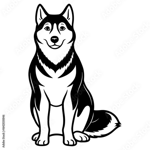 Cute husky dog sitting and smiling, isolated on white background