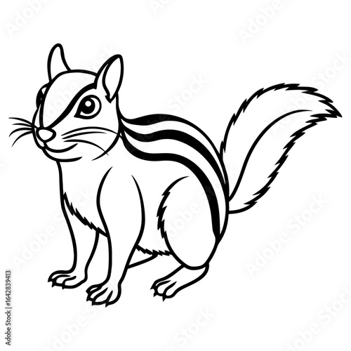 Cute chipmunk with striped fur sitting, isolated on white background