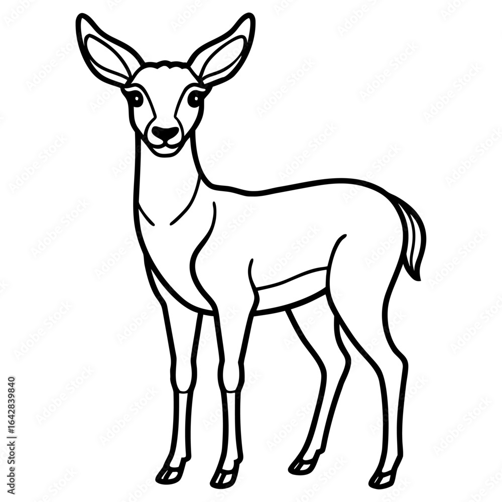 Fototapeta premium Graceful female deer standing elegantly, isolated on white background