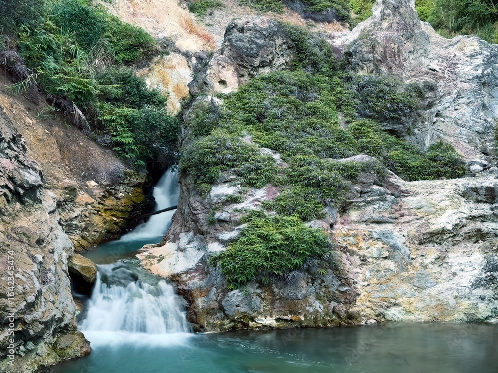 Fototapeta premium Mini waterfall tucked away in a forested area on a bright day, with extended tree limbs reaching down to the puddle beneath 