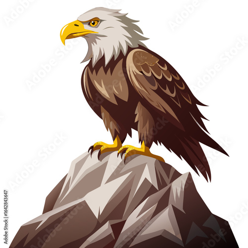 american bald eagle